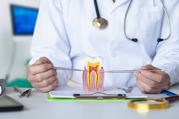 Emergency Dental Filling Replacement in CO